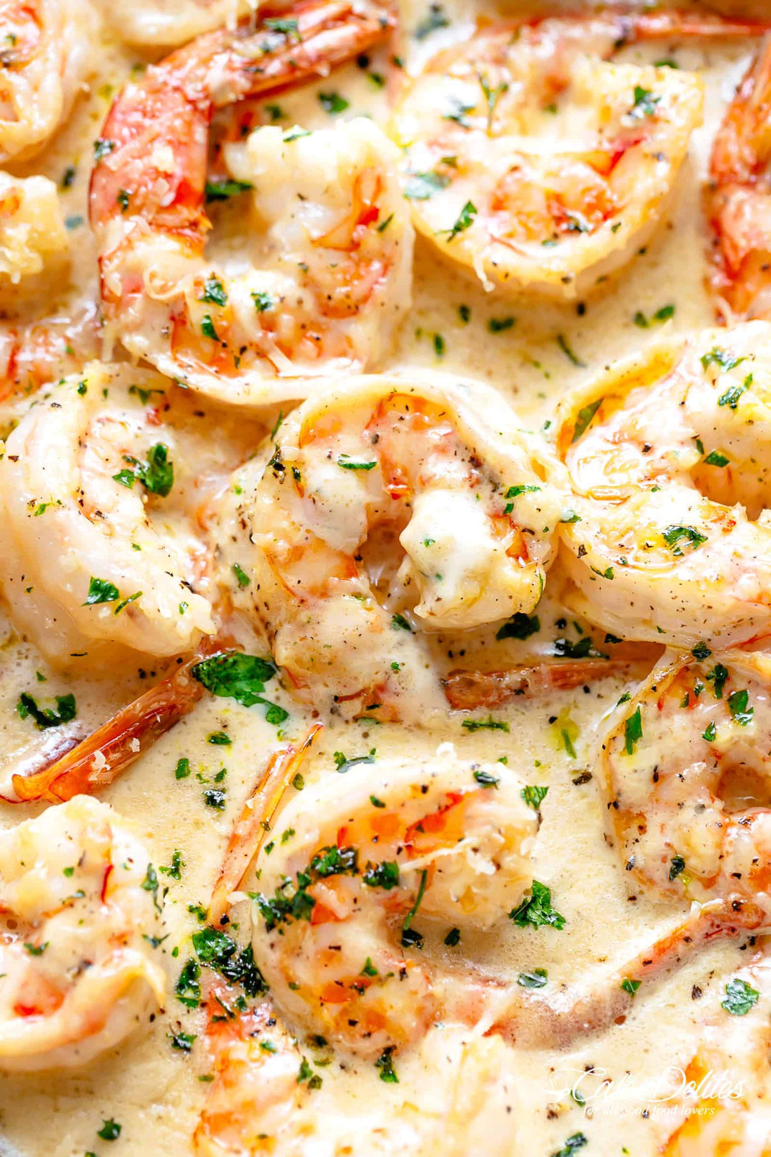 Shrimp and Steak Pasta in Cream Sauce