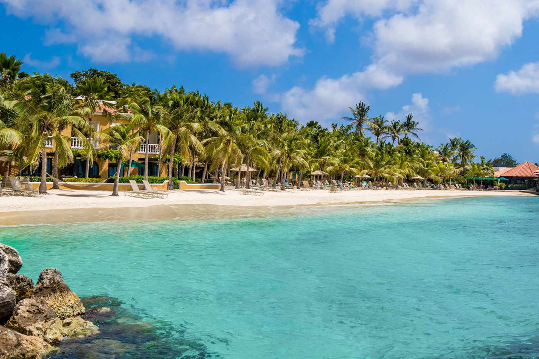 Discover Bonaire: Your Next Unforgettable Adventure Awaits!