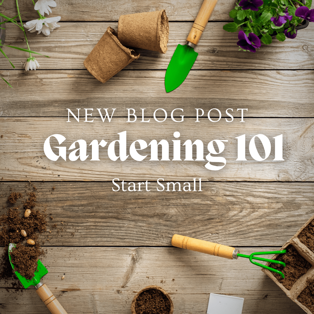 Gardening 101: Start Small - 22 Palms Boutique