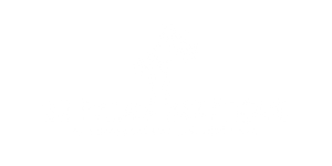 A white logo on a black background shows two palm trees above "22 PALMS BOUTIQUE" and "WOMEN'S CLOTHING & RESORT WEAR".