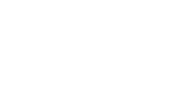 A white logo on a black background shows two palm trees above "22 PALMS BOUTIQUE" and "WOMEN'S CLOTHING & RESORT WEAR".