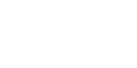 A white logo on a black background shows two palm trees above "22 PALMS BOUTIQUE" and "WOMEN'S CLOTHING & RESORT WEAR".