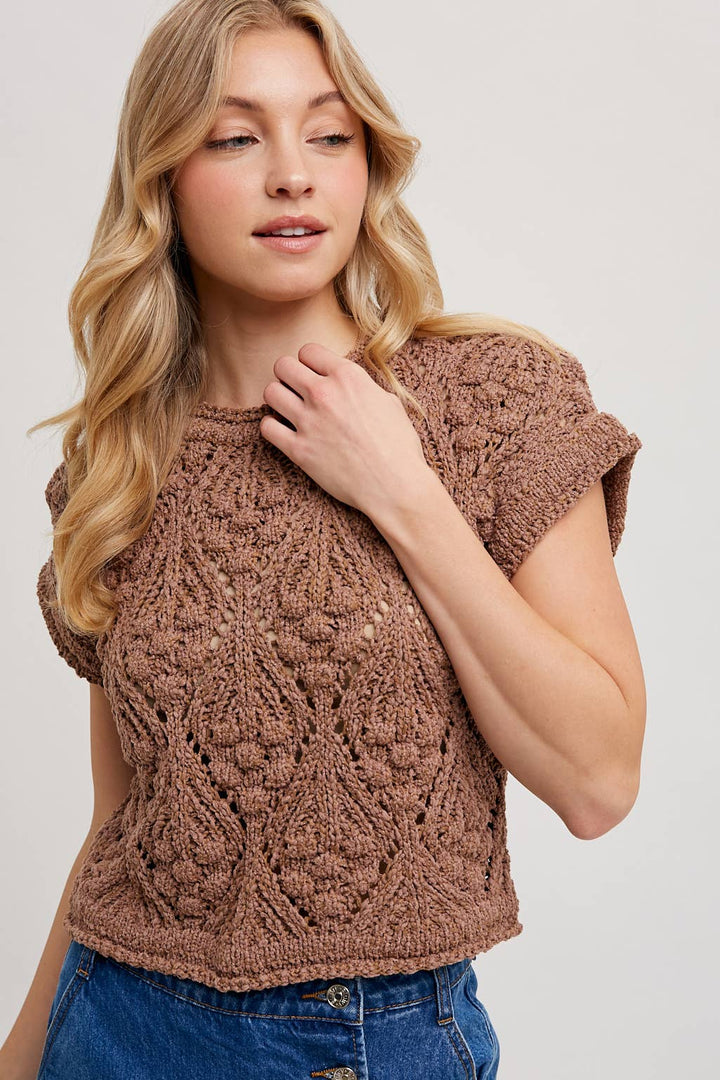 Knit Short Sleeve Crop Sweater in Mocha