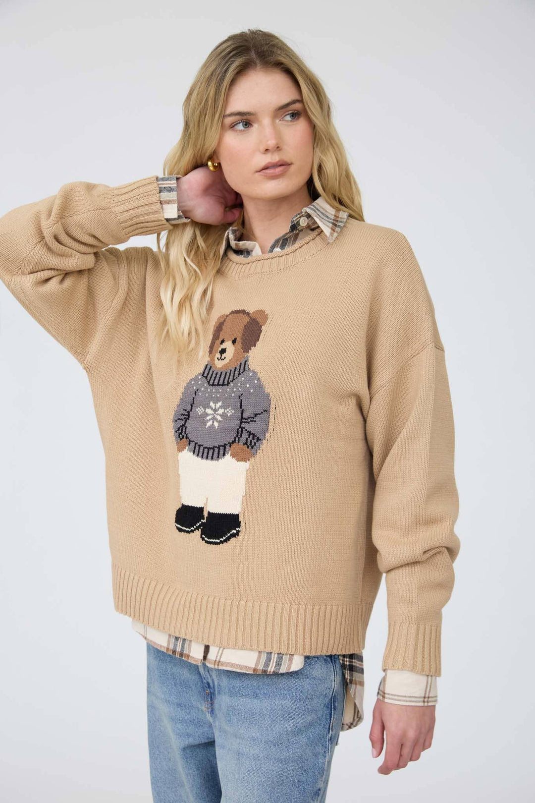 Teddy Bear Crew Neck Intarsia Knit Sweater in Khaki