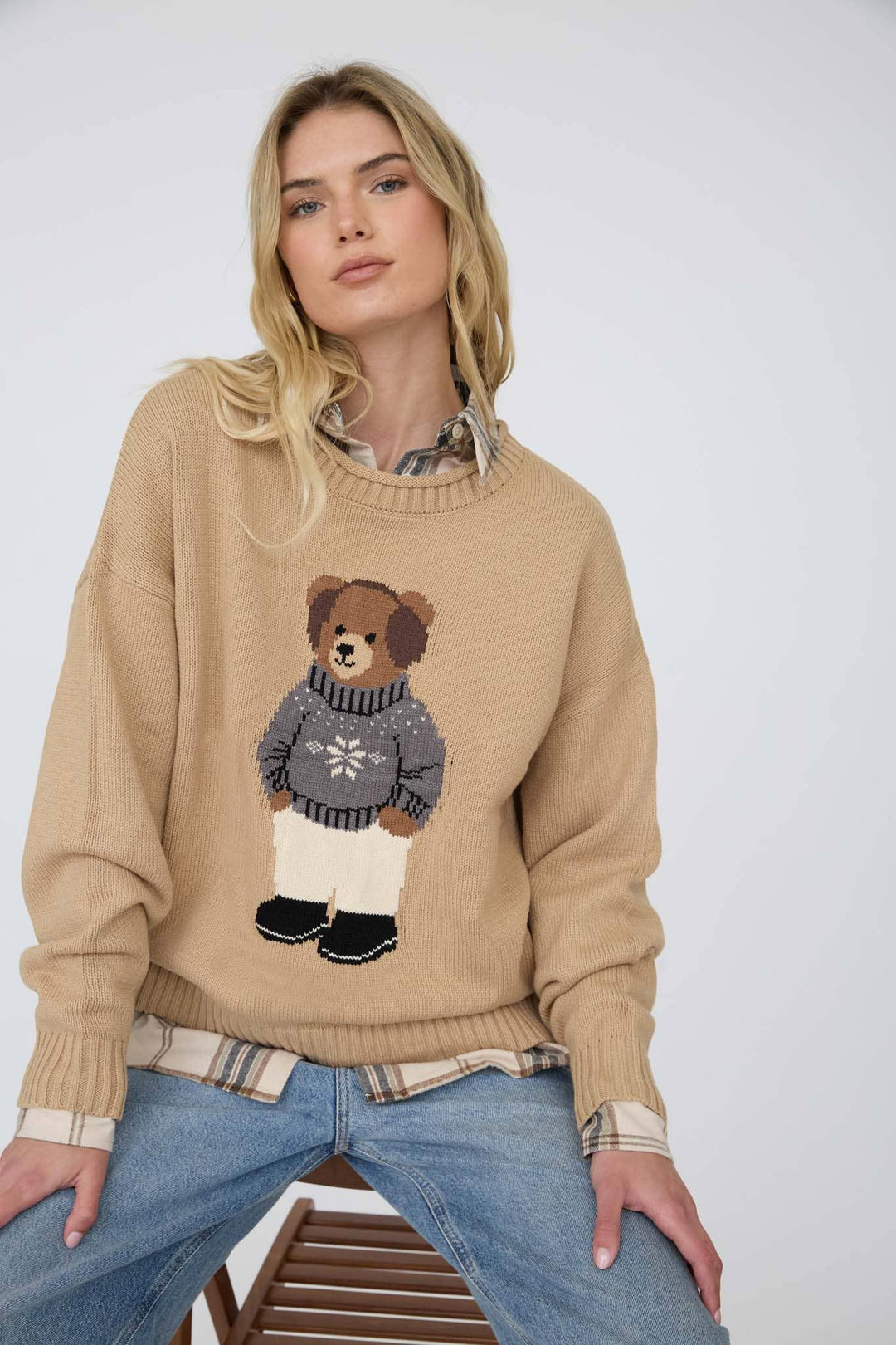 Teddy Bear Crew Neck Intarsia Knit Sweater in Khaki