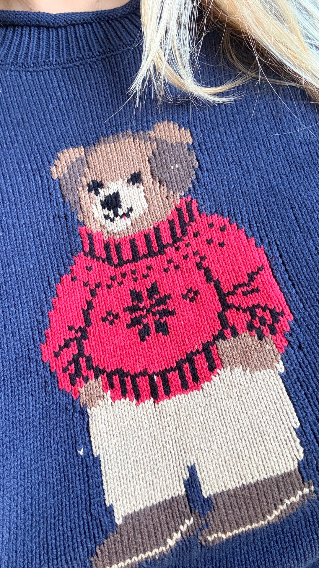 Teddy Bear Crew Neck Intarsia Knit Sweater in Navy