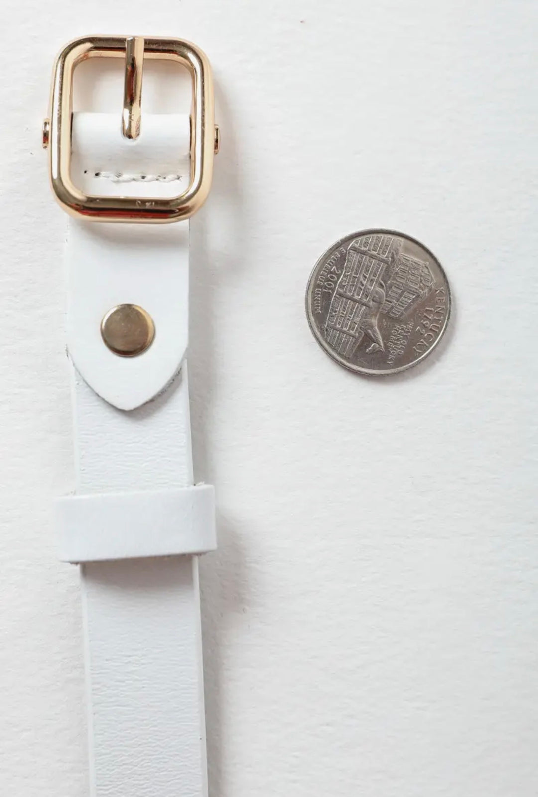 Skinny Leather Belt