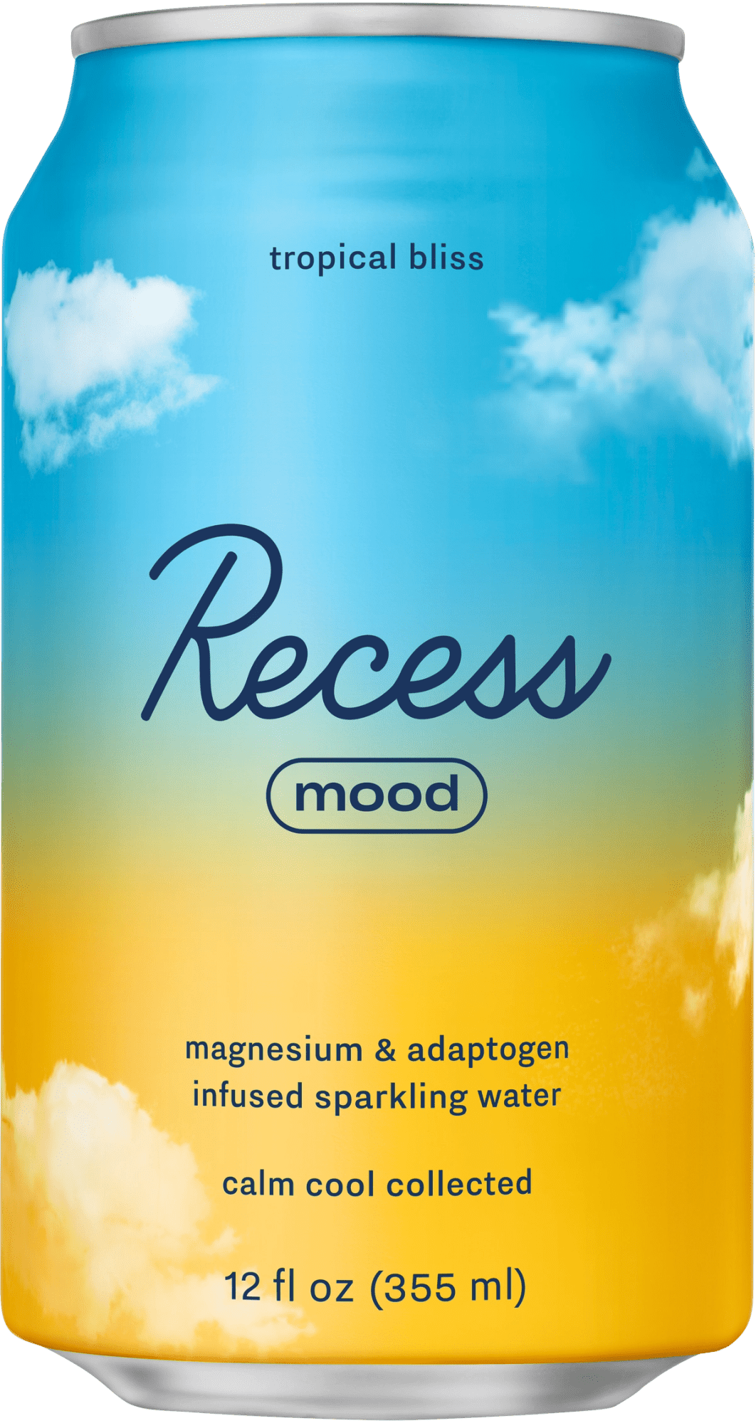 Tropical Adaptogen Sparkling Water - 22 Palms Boutique